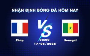 phap senegal 17 06 fifa world cup